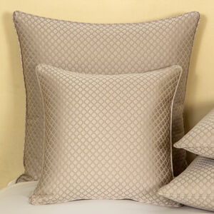 slide 1 Illusione Euro Sham