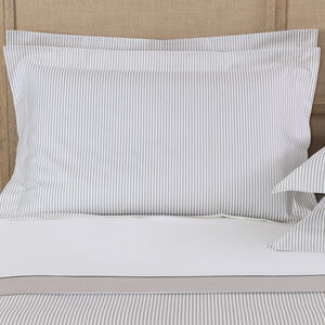 slide 1 Horizon Sham