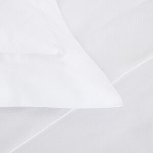 slide 3 Net Sham