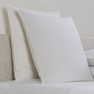 slide 2 Greenwich Euro Sham