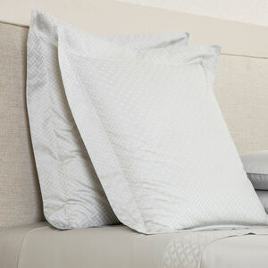 slide 2 Savona Euro Sham