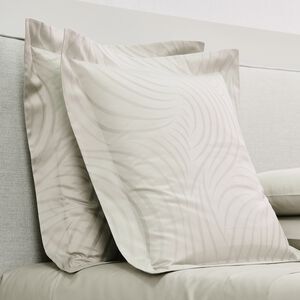 slide 2 Klepsydra Euro Sham