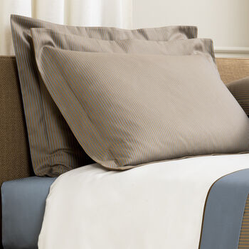 Horizon Sham