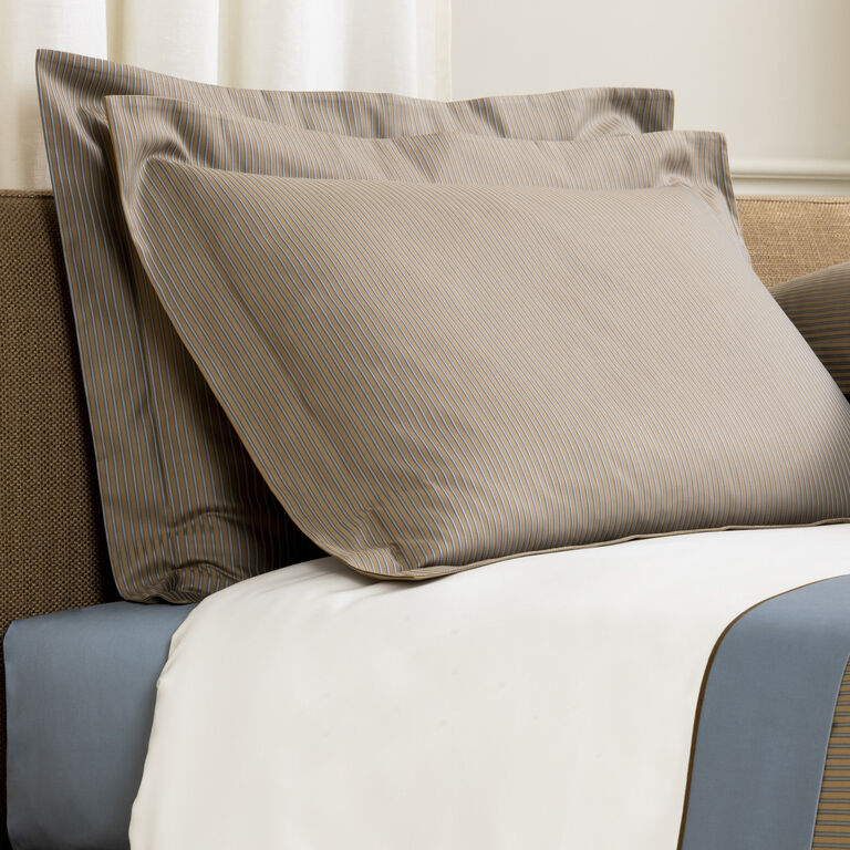 slide 2 Horizon Sham