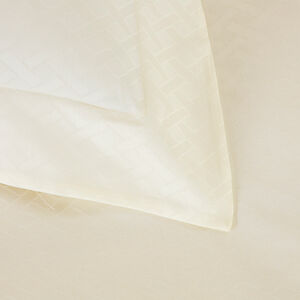 slide 3 Savona Euro Sham