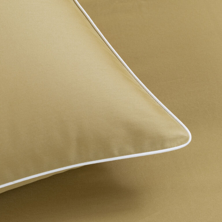 slide 3 Greenwich Euro Sham