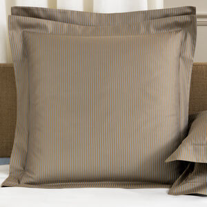 slide 1 Horizon Euro Sham