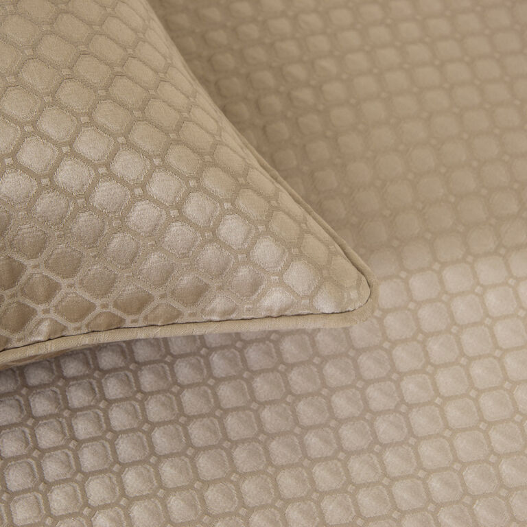 slide 3 Illusione Euro Sham