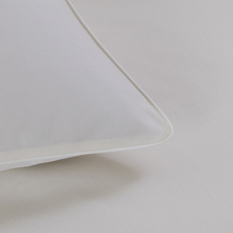 slide 3 Greenwich Euro Sham