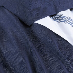 slide 5 Rays Euro Sham