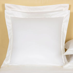slide 1 Francine Euro Sham
