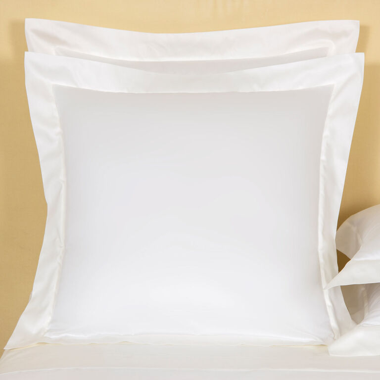 slide 1 Francine Euro Sham