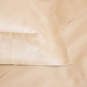 slide 3 Domes Sham