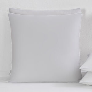 slide 1 Greenwich Euro Sham