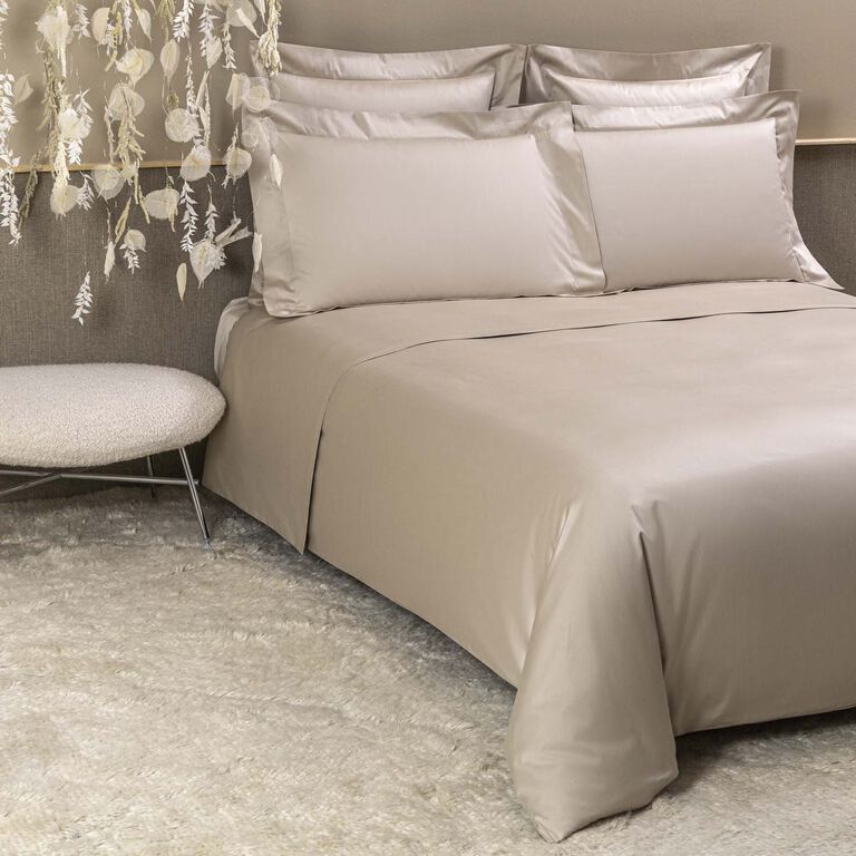 slide 4 Naturalismo Sheet Set