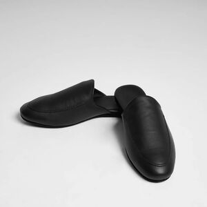 slide 1 Kepler Slipper