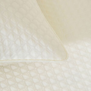 slide 3 Illusione Euro Sham