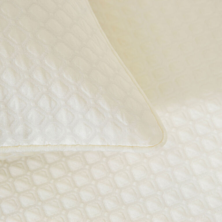slide 3 Illusione Euro Sham