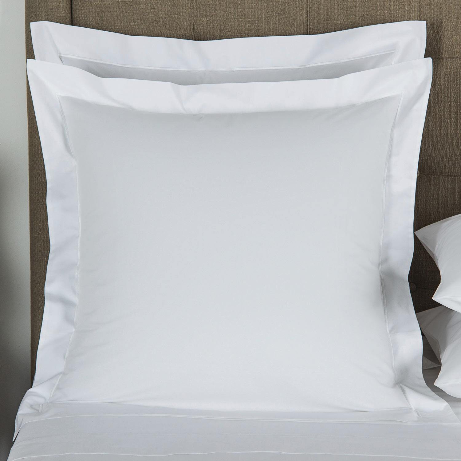 Euro sham sale outlet