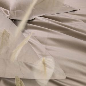 slide 5 Naturalismo Sheet Set