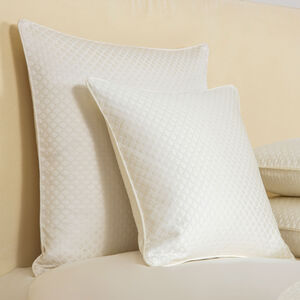 slide 2 Illusione Euro Sham