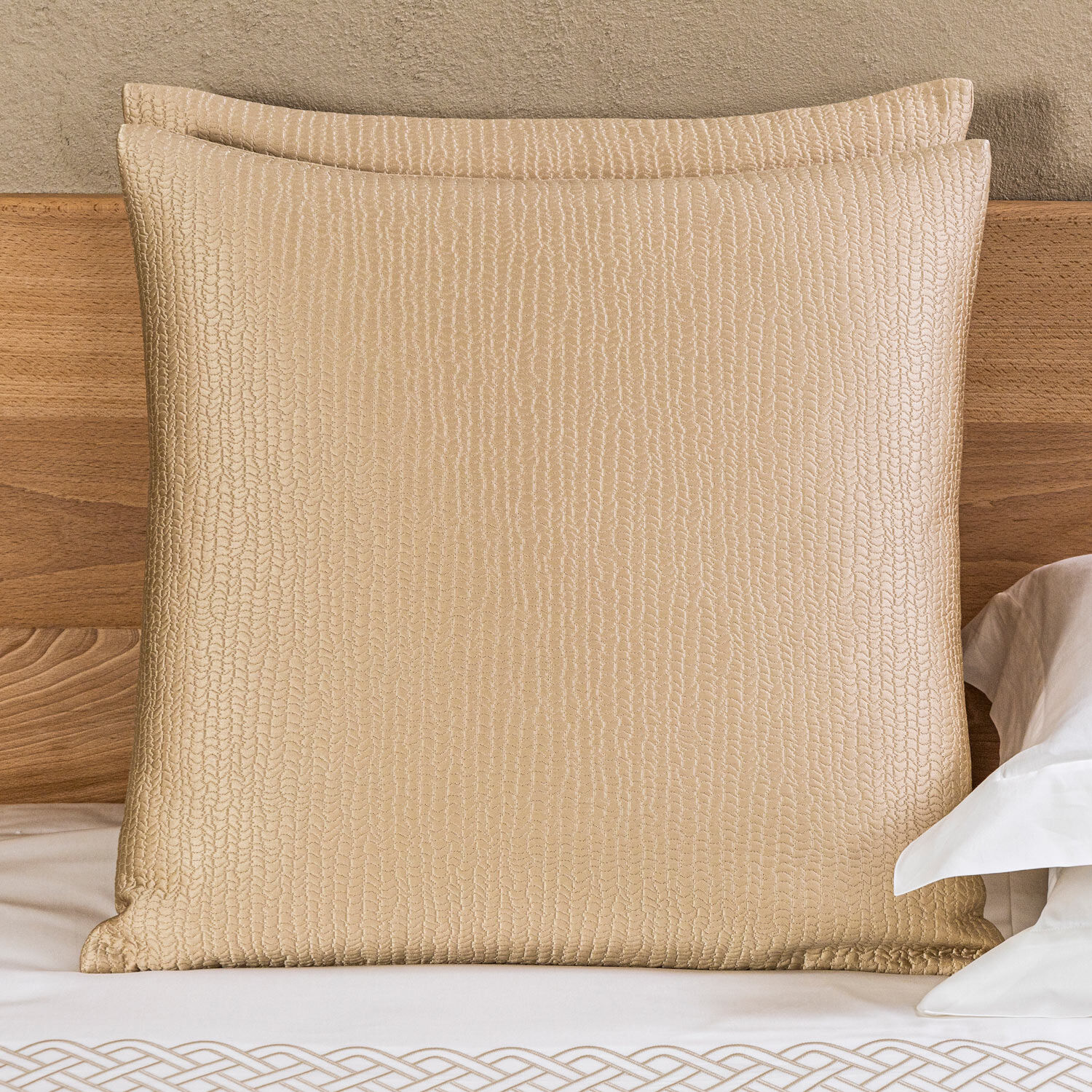 Luxury Earth Decorative Pillow