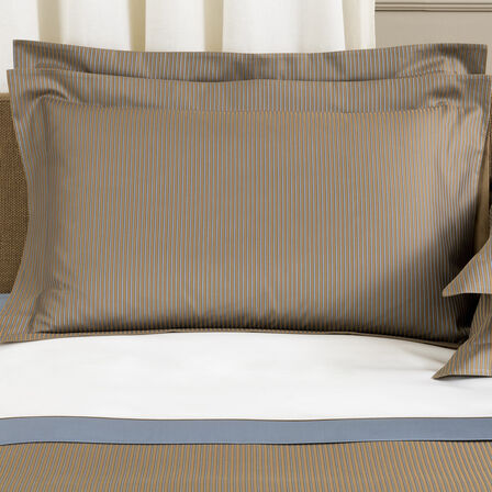 Horizon Sham