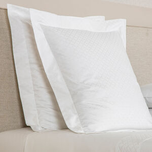 slide 2 Savona Euro Sham