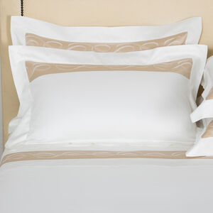 slide 1 Ribbons Border Sham