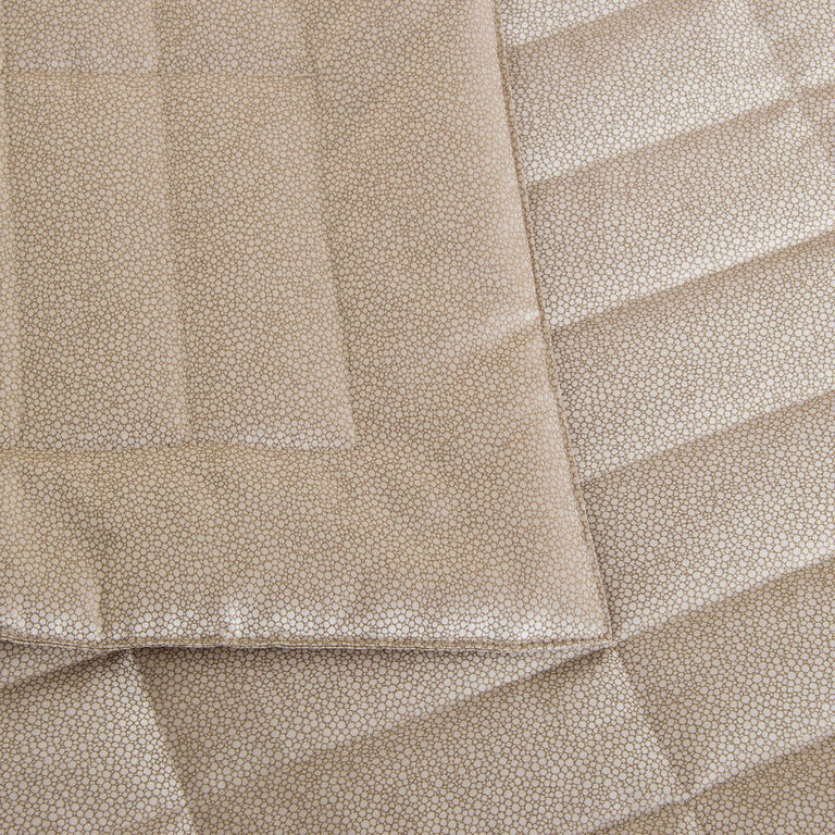 slide 3 Forever Light Quilt