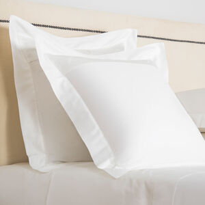slide 2 Ribbons Border Euro Sham