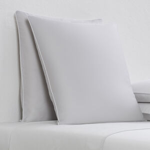 slide 2 Greenwich Euro Sham
