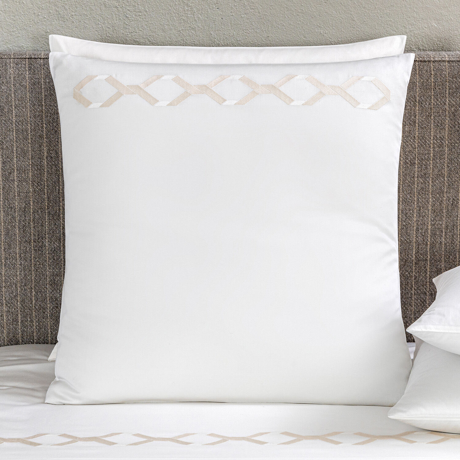 Continuity Embroidered Euro Sham Frette