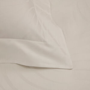 slide 3 Klepsydra Euro Sham