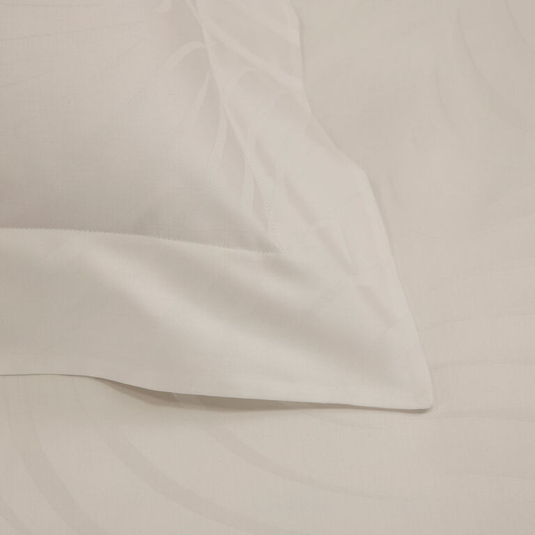 slide 3 Klepsydra Euro Sham