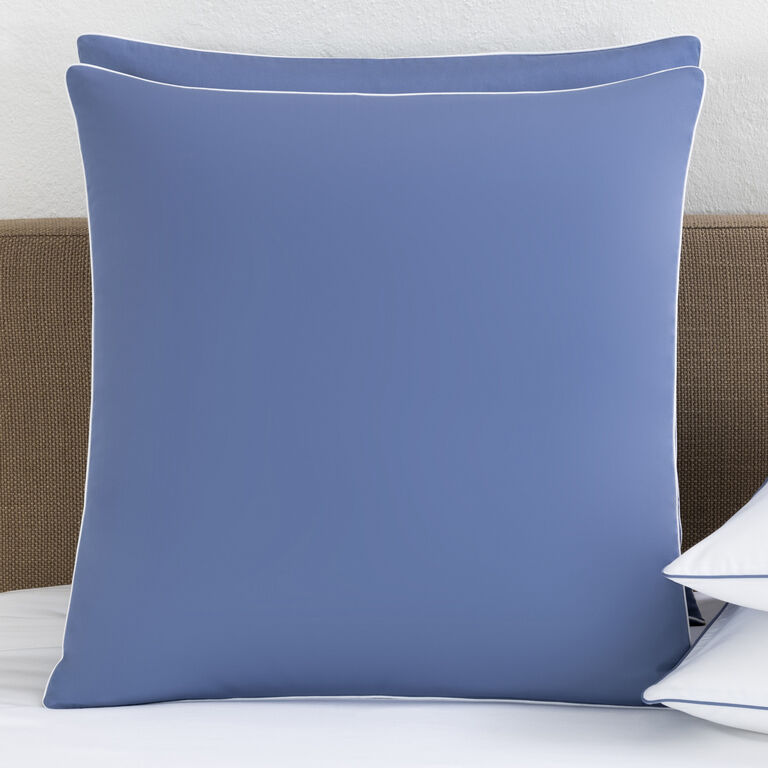 slide 1 Greenwich Euro Sham