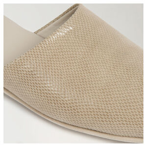 slide 2 Fable Slippers