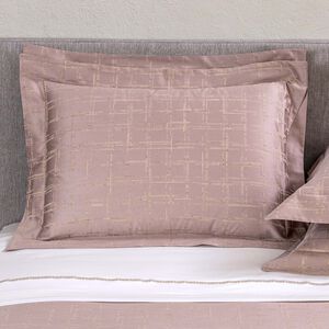 slide 1 Odyssey Sham