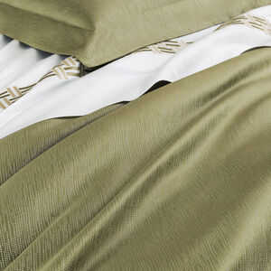 slide 5 Rays Euro Sham