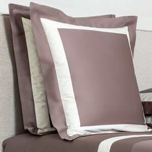 slide 2 New Horizon Euro Sham