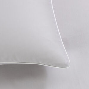 slide 3 Greenwich Euro Sham