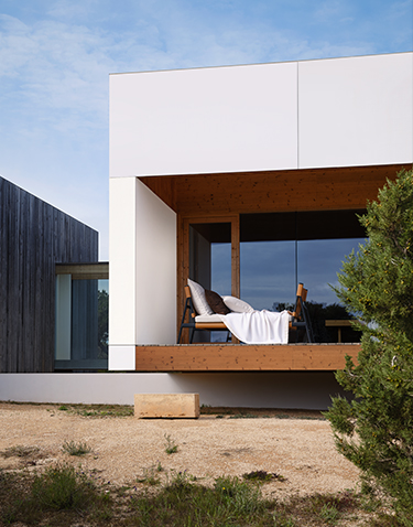 Contemporary Oasis
